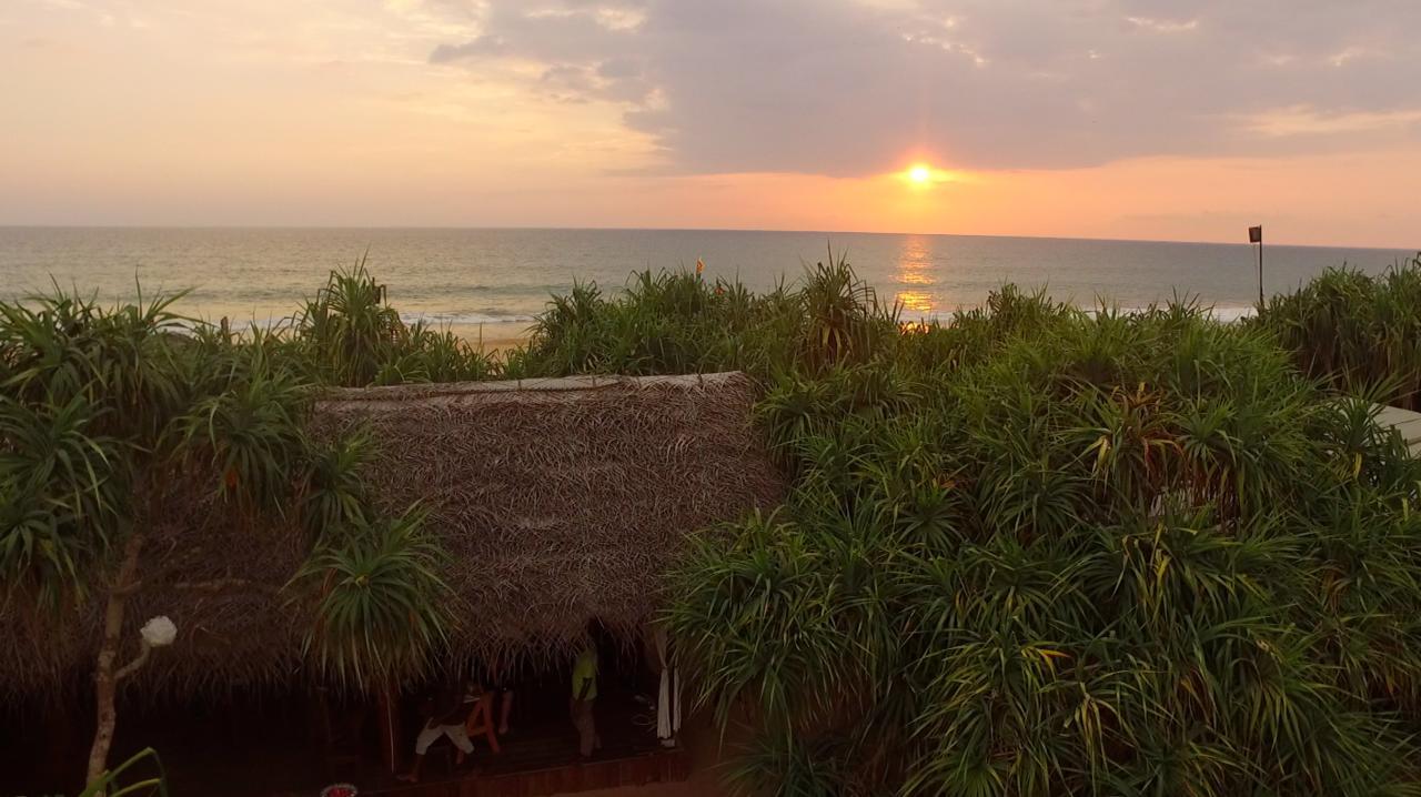 Jungle Beach Ahungalla Kültér fotó