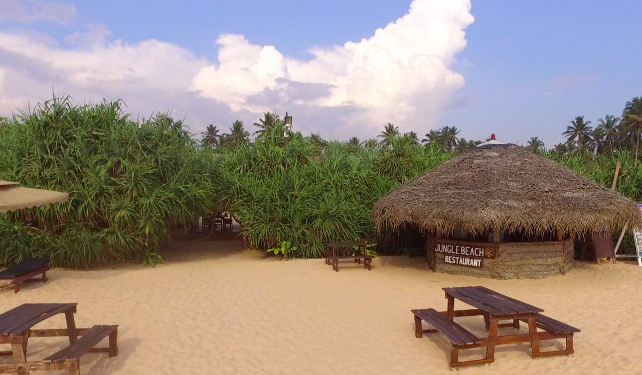 Jungle Beach Ahungalla Kültér fotó